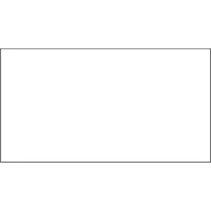 Packing List Envelopes, 4" L x 5" W, Endloading Style