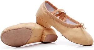 Women's Latin Dance Shoes Kids Canvas Ballroom Character Dance Teaching Shoes